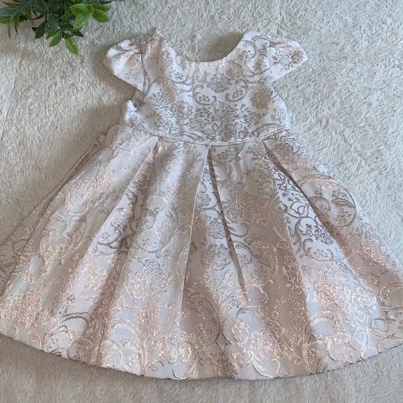 Janie and Jack Floral Jacquard Dress Pink/Rose Gold Dress EUC 6-12M - Picture 3 of 17
